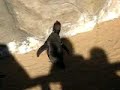 PINGUIM DOIDAO