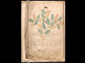 Voynich Manuscript (p.1/3) Terence McKenna interview