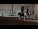 Kenny Sample Video - SOLD