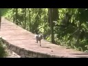 Tanah Lot Part 2