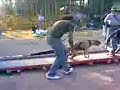 Viron`s Club Pit Bull Ajusco M�xico DF (competencias) FMAPBT