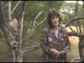 Sherri Rosen Publicity - International Endorsement Sherri Rosen Publicity - International Endorsement