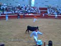 Vaquillas en Potasas