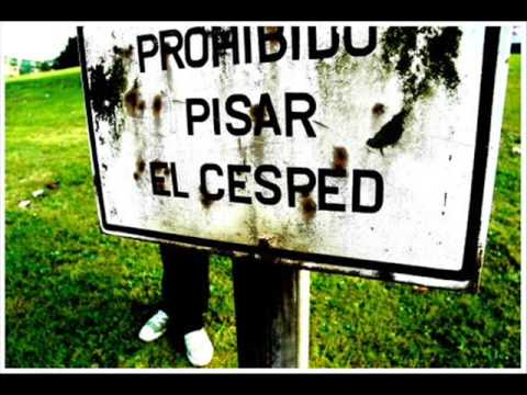 Video de Burbujas de La Vela Puerca