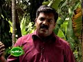 Feature on Kalluvazha