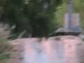 Glentress Wallrides and Fun Box