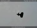 Thunder Jet (Silverlit)