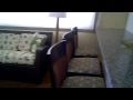 Penthouse Suite at the Waikiki Resort Hotel - Waikiki, Oahu