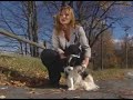 Dog Saves Woman After Motorcycle Accident