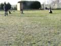videos de Halte en escadron et rappel