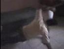 Lo mejor del 2006 - videos Lo mejor del 2006 - videos