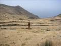 kandahar - Sherona - Wolfman