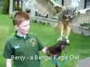 Campbell Crawford at Aberfoyle with Birds of Prey