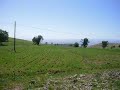 Keban Ak�atepe Kozukafe