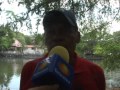En Crisis la Pesca Deportiva por Depredación Masiva del Pez Vela en Zihuatanejo.mpg