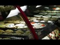 Video Thumbnail Image