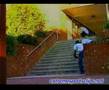 Paul Rodriquez skateboarding