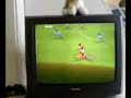 gullit pro 5 vs skour