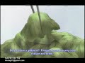 junjo romantica episode 10 part 2 vosta