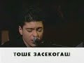 Zlatna Bubamara Tose Zasekogas 2