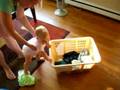 Walking w/ Basket