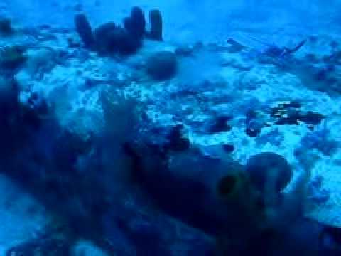 Avi�n hundido en aguas de Jamaica
