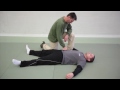 The Combative Body