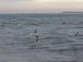 North Beach break causing erosion