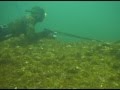 Spearfishing Dog tooth Snaper in Baja