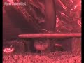 Grunting fish reveal the origins of human speech Grunting fish reveal the origins of human speech