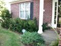 AT HOME IN LOUISVILLE OUTSIDE OF MY HOUSE