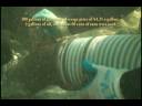 Gold Star Mining 2008 Part II