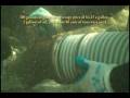 videos de Gold Star Mining 2008 Part II