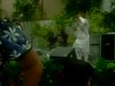 julie n sena wedding part4