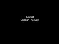 plummet   cherish the day