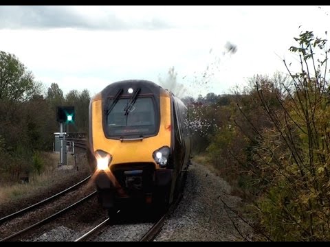 Tren atropellando a un pájaro