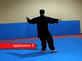 Tai Chi, 24 Form Applications Tai Chi, 24 Form Applications