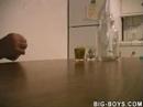 Coins Coins