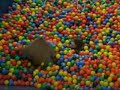 ball pool slide At Crealy ball pool slide At Crealy