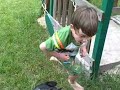 wildman
