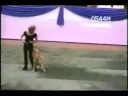 CACHORRO DANÇA ALCEU