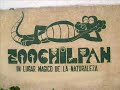 Un Recorrido por el zoológico de .