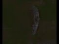 Moon Mark Moon Mark