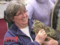 Stuck in Vermont 61: VT Fancy Felines