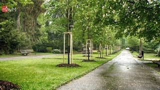 Revitalizace zeleně v parku zajistí větší bezpečnost