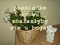 pieniądze
