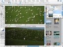 tutorial-1-remove-a-picture-background-in-5-seconds.html