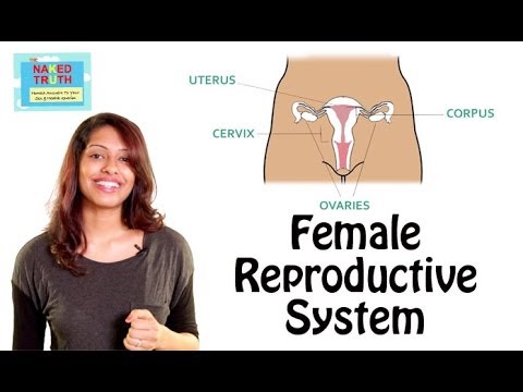 how to cure dhat syndrome