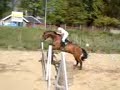 Emily jumping Otis the spread
