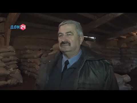 Специалисты Россельхознадзора проверяют качество семян на сортовые и посевные качества в Ростовской области